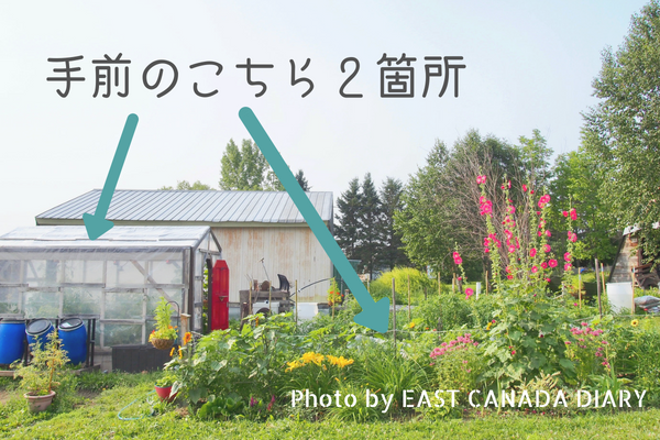 カナダ人の家庭菜園 菜園ビギナー夫婦が初めて育てる野菜畑のご紹介 East Canada Diary